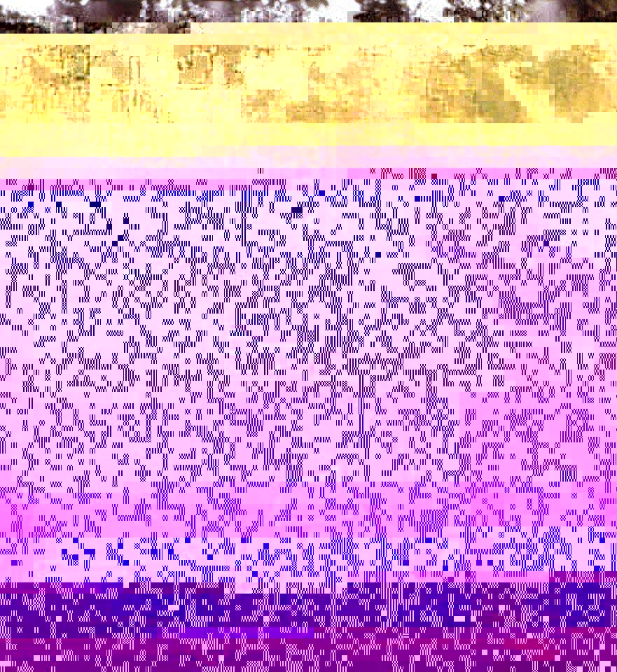 15874834_10210446293540994_8933184326918212617_o.jpg